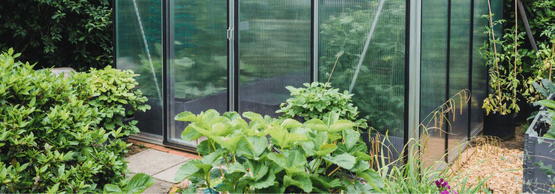 [paste advice page name here]